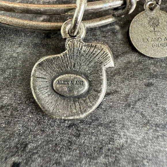 Alex and Ani Apple Charm Bracelet Silver Nature Expandable Bangle - Picture 11 of 14